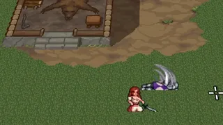 Medieval Fury