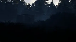 Скриншот 5 к игре 88 NIGHTS IN THE FOREST