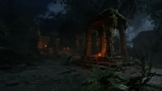 Unleash The Avatar