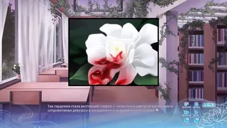 Скриншот к игре Chrysanthemum: On the Way to Sweet Dreams Chrysanthemum: On the Way to Sweet Dreams