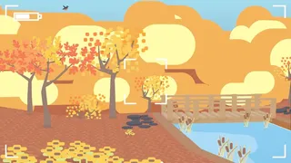 Скриншот к игре Flock Around Flock Around