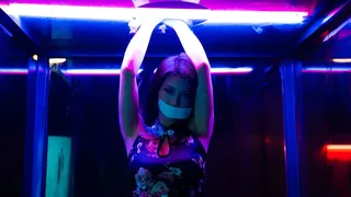 Скриншот 7 к игре 血薪记：罪恶园区