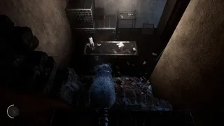 Скриншот 6 к игре The Last Raccoon