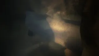 Скриншот к игре Burrows Burrows