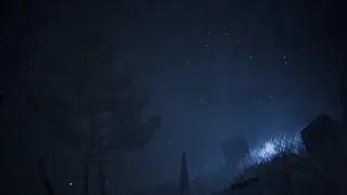 Скриншот к игре Canary Canary