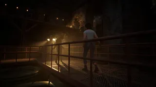 Скриншот 5 к игре The Florist