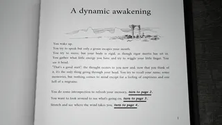 Скриншот к игре Die for a Die Die for a Die