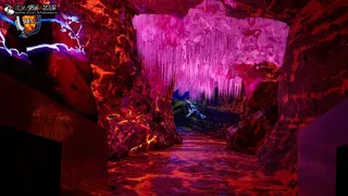 名录：爱丽丝的白鼠