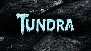 Скриншот к игре Tundra Tundra