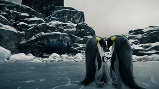 Скриншот к игре Tundra Tundra