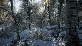 Скриншот к игре Tundra Tundra