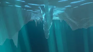 Скриншот к игре Tundra Tundra