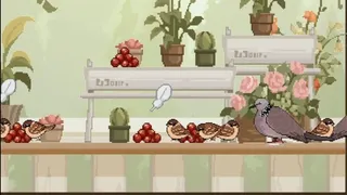 Скриншот к игре 观鸟笔记 观鸟笔记