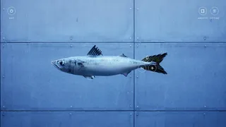 OKAZU ～お魚の数を数えるチルゲー～