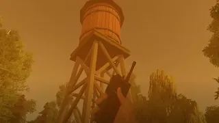 Have You Seen This Man?