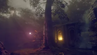 The Promise Tree of Alden