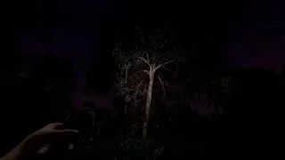 The Remains of Dahlia