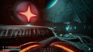 Dig Baby Dig Company