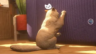 The Cat: Tales of Istanbul