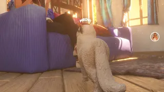 Скриншот 6 к игре The Cat: Tales of Istanbul