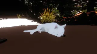 Скриншот 5 к игре Campfire with Cat