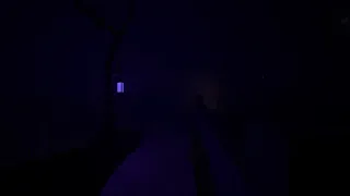 Graves's Halloween Tag!