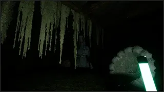 Скриншот 8 к игре The Butler
