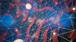 Lifecycles of the Traveler Spider