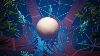 Скриншот 6 к игре Lifecycles of the Traveler Spider
