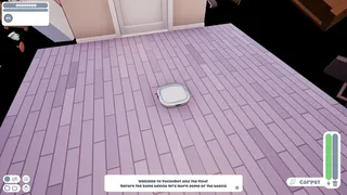 VacuuBot: Home Cleaning Simulator