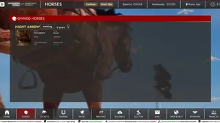 Скриншот 5 к игре Champions Stable: Equestrian Dynasty