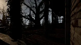 Dwelling on the Hill