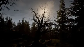 Dwelling on the Hill