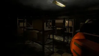 THE SILENT BUNKER SCREAMING ECHOES