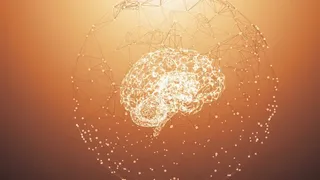 Artificial Intelligence Simulator