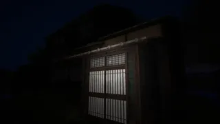 Скриншот 6 к игре The House of Stillness