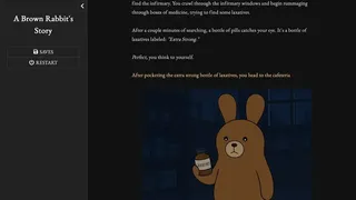 A Brown Rabbit's Story