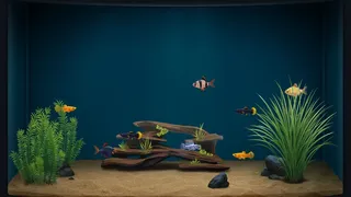 The Fish Corner