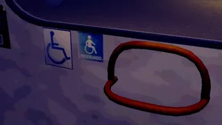 Buenos Aires Mirror Line