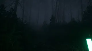 Скриншот 6 к игре Boundless Evil: Awakening
