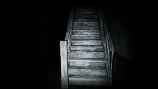 Анина - Ферма