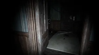 Анина - Ферма