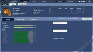 Golden Stables - Horse Racing