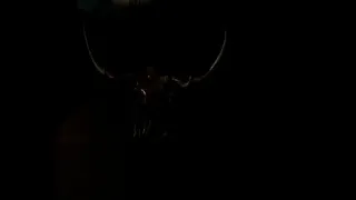 THE SCREAM OF DARKNESS