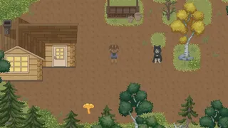 The Mushroom Journal