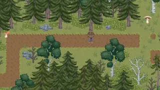 The Mushroom Journal