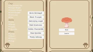 The Mushroom Journal