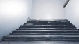 The Complex Chapter 1: Who, What, Where?