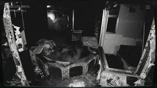 日本事故物件監視協会2 -Japan Stigmatized Property-