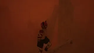 Thriving in Ruins – The End of Humanity is not the End of the World